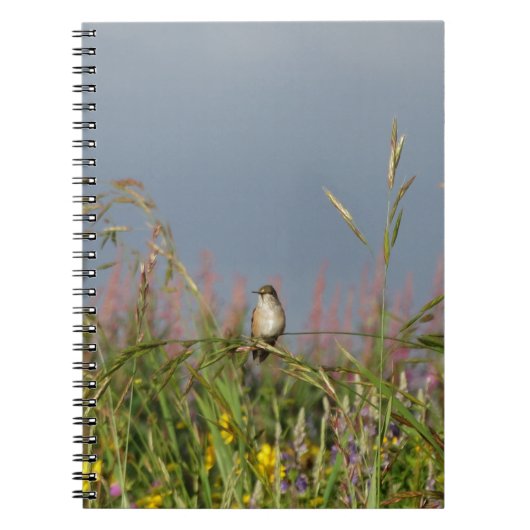 Carnet Petit colibri gras (Devant)