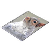 Carnet Petit écureuil gris doux et souple (Côté gauche)