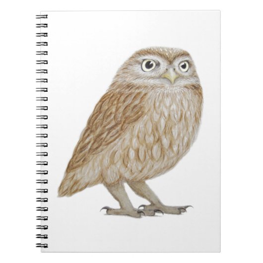Carnet Petit hibou 2011 (Devant)