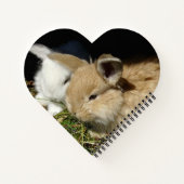 Carnet Petit lapin moelleux (Dos)