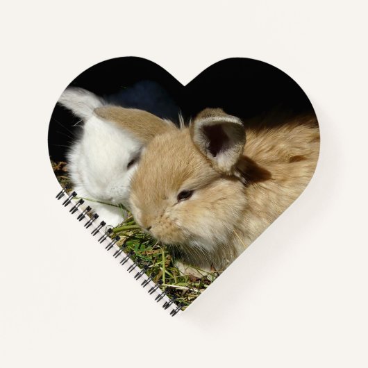 Carnet Petit lapin moelleux (Devant)