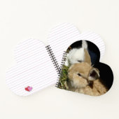 Carnet Petit lapin moelleux (Intérieur)