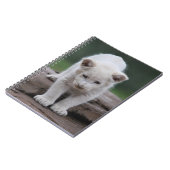 Carnet Petit lion blanc (Côté gauche)