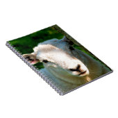 CARNET PETIT MOQUETTE (Côté Droit)