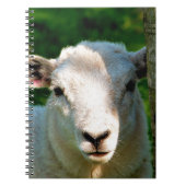 CARNET PETIT MOQUETTE (Devant)