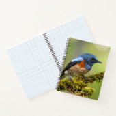 Carnet Petit oiseau bleu (Intérieur)