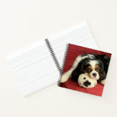 Carnet Petit ordinateur portable Cavalier King Charles Sp (Intérieur)