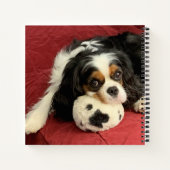 Carnet Petit ordinateur portable Cavalier King Charles Sp (Dos)