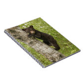 Carnet Petit Ours noir dans l'arbre (Côté Droit)