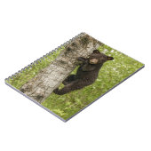 Carnet Petit Ours noir dans l'arbre (Côté gauche)