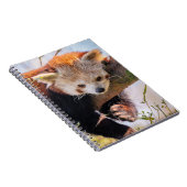 Carnet Petit panda rouge pâle (Côté Droit)