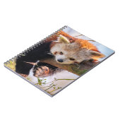Carnet Petit panda rouge pâle (Côté gauche)