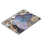 Carnet Petit papillon bleu (Côté gauche)