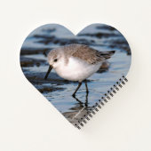 Carnet Petit Sanderling mignon à la plage (Dos)