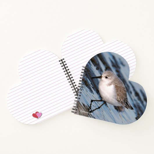 Carnet Petit Sanderling mignon à la plage (Intérieur)