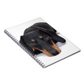 Carnet Petit teckel (Côté Droit)