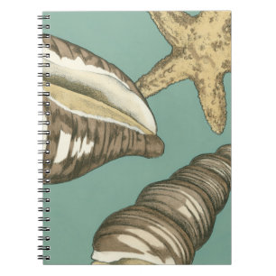 Carnet Petit trio de Shell sur Teal