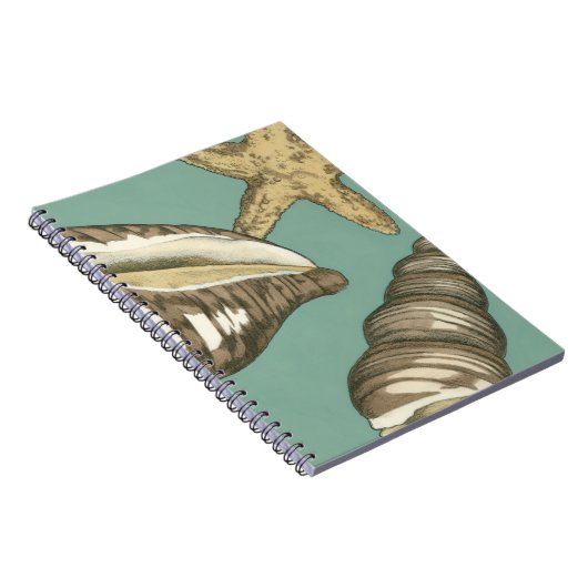 Carnet Petit trio Shell Turquoise (Côté Droit)