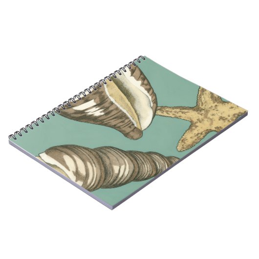 Carnet Petit trio Shell Turquoise (Côté gauche)