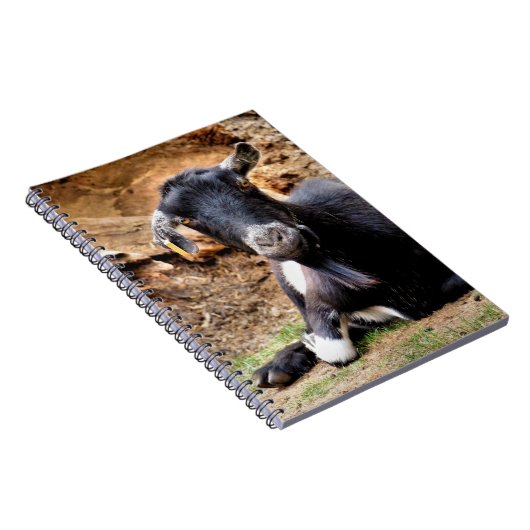 CARNET PETITE CHÈQUE CUITE (Côté Droit)