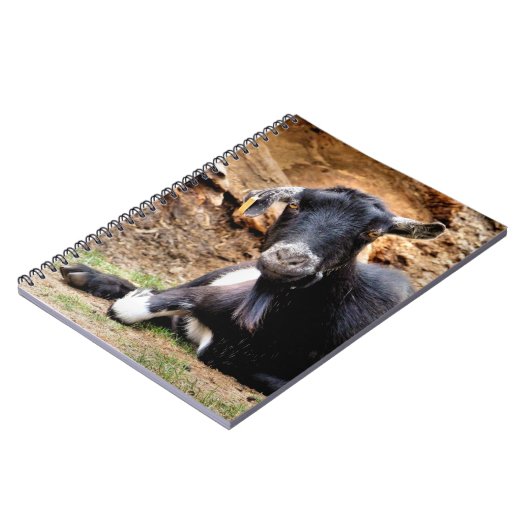 CARNET PETITE CHÈQUE CUITE (Côté gauche)