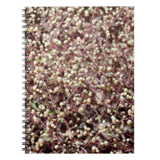Carnet Petite petite boule mignonne en forme de buisson b (Devant)