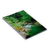 Carnet Petite rivière Qualicum (Côté Droit)