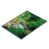 Carnet Petite rivière Qualicum (Côté gauche)