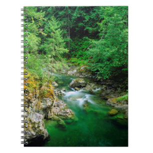 Carnet Petite rivière Qualicum