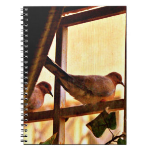 Carnet Petites colombes