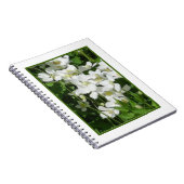 Carnet Petites fleurs blanches (Côté Droit)