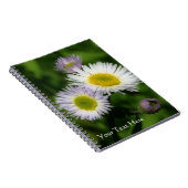Carnet Petites marguerites Fleabane Nature (Côté Droit)