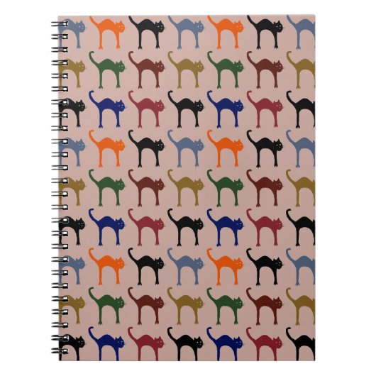 Carnet petits chats (Devant)