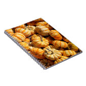 Carnet petits citrouilles dans la pile (Côté Droit)