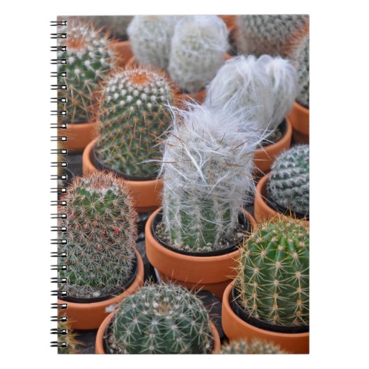 Carnet Petits plantes de cactus (Devant)