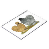 Carnet Petits poulets (Côté gauche)