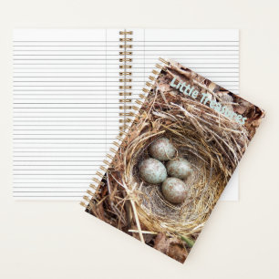 Carnet Petits Trésors Œufs de Nid d'Oiseau