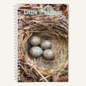 Carnet Petits trésors OEufs de nid d'oiseaux (Recto)