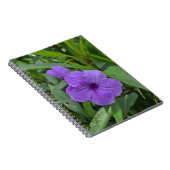 Carnet Petunia mexicain (Côté Droit)