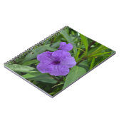 Carnet Petunia mexicain (Côté gauche)