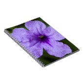 Carnet Pétunia mexicain nain pourpre (Côté Droit)