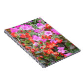 Carnet Pétunia rose et géraniums rouges (Côté Droit)