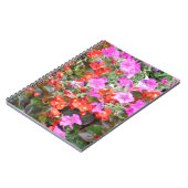 Carnet Pétunia rose et géraniums rouges (Côté gauche)