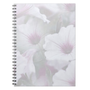 Carnet Pétunias Rose Et Blanc