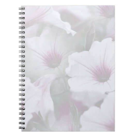 Carnet Pétunias Rose Et Blanc (Devant)
