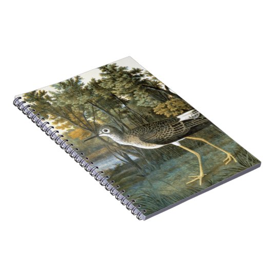Carnet Peu de Yellowlegs (Côté Droit)