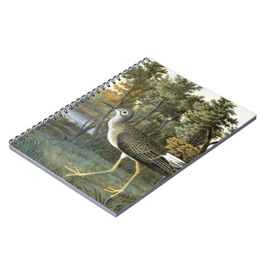 Carnet Peu de Yellowlegs (Côté gauche)