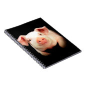 Carnet Peu porcin (Côté Droit)