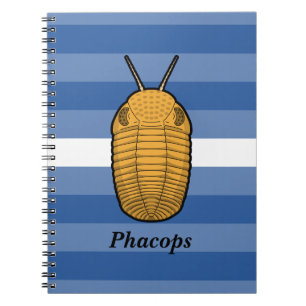 Carnet Phacops Trilobite - Animal préhistorique