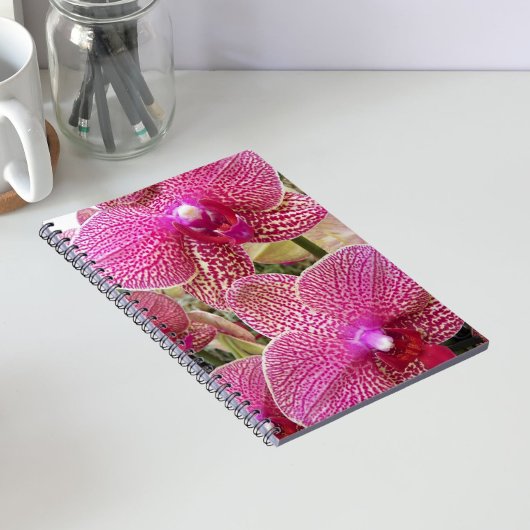 Carnet Phalaenopsis rose Orchidées Florales